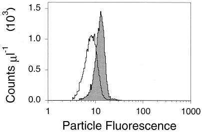 FIG. 5