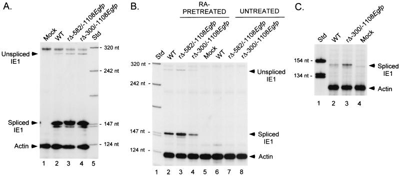 FIG. 5