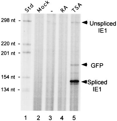FIG. 7