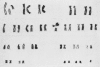 310