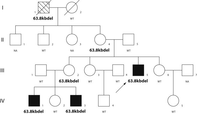Figure 1