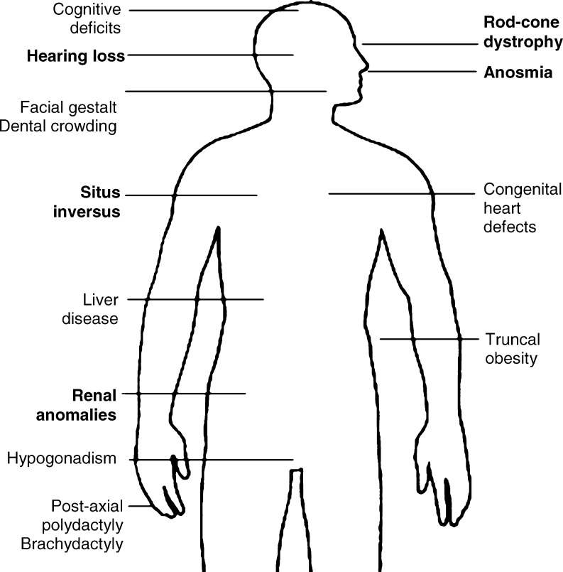 Fig. 2