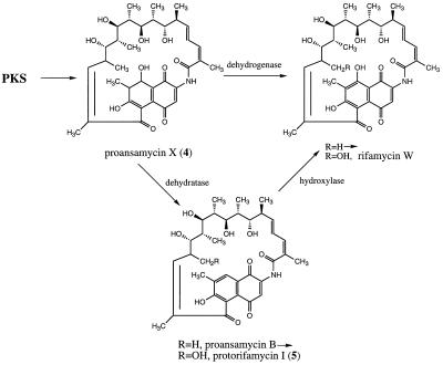 Figure 5