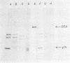 113