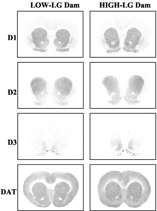 
Figure 10.
