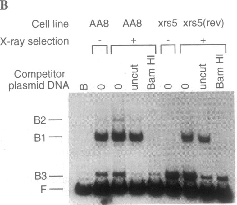 graphic file with name pnas01138-0253-a.jpg