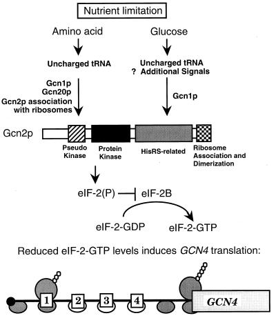 FIG. 9