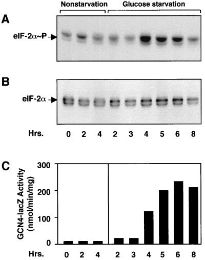 FIG. 3