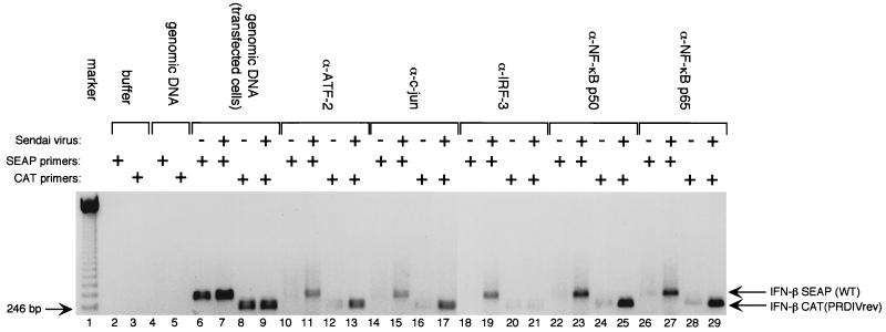 FIG. 7