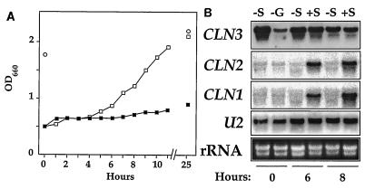 FIG. 7