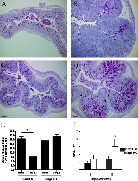 FIG. 6.