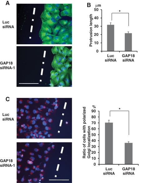 FIGURE 7: