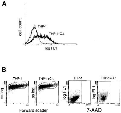 FIG. 7