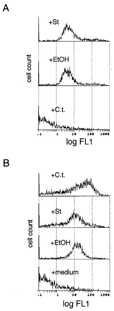 FIG. 5