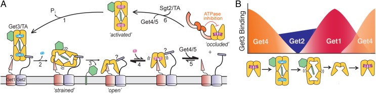 Fig. 8.