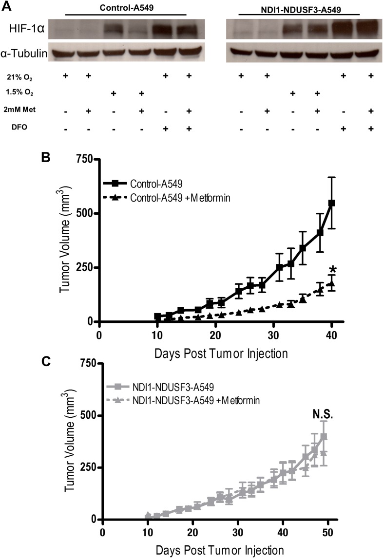 Figure 7—figure supplement 3.