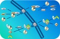 graphic file with name FEBS-282-445-g003.jpg