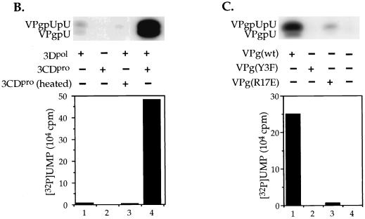 FIG. 6