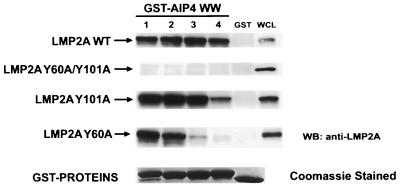 FIG. 7