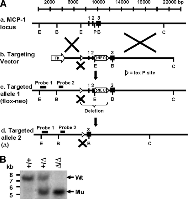 FIGURE 1.