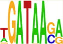 graphic file with name nihms751094t5.jpg