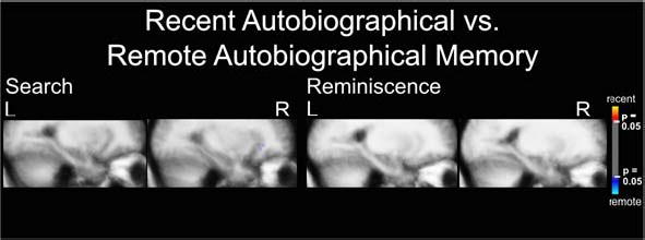 Supplementary Figure 1