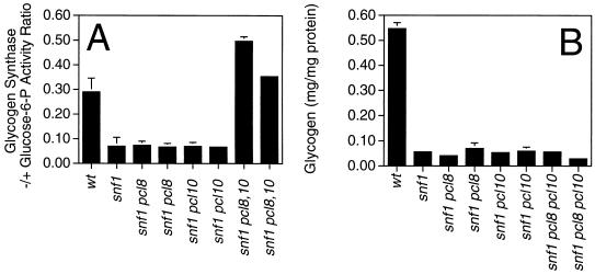 FIG. 7