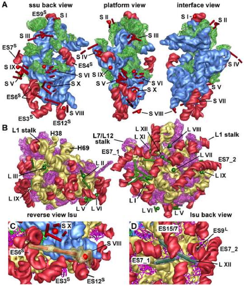 Figure 4