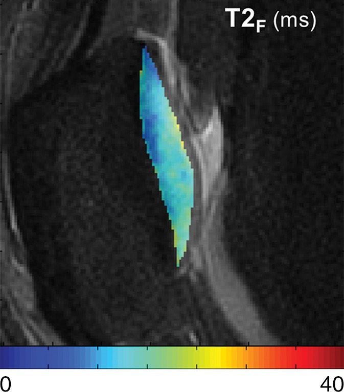 Figure 3c: