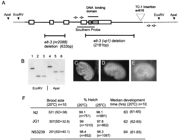FIG. 6