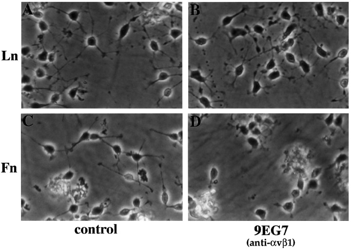 Fig. 10.