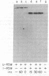 2725