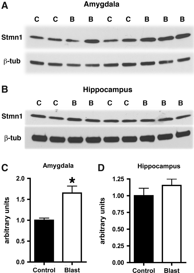 FIG. 8.