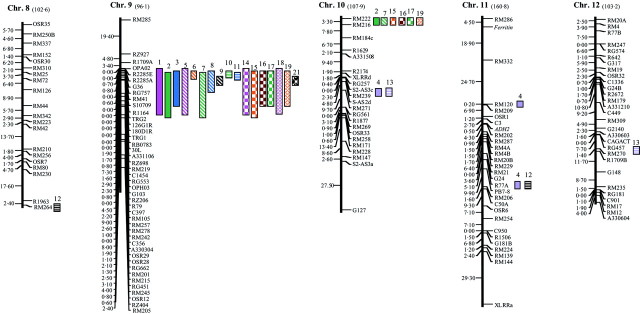 graphic file with name mcf072f1b.jpg