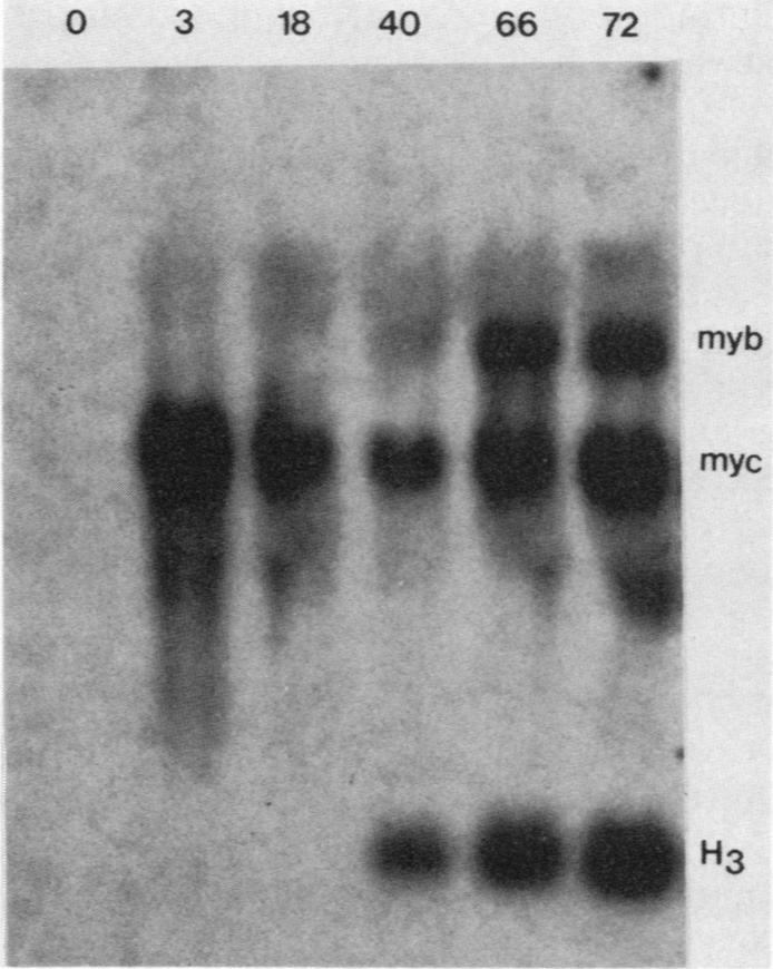 graphic file with name molcellb00106-0389-a.jpg