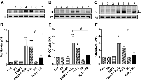 FIG. 8.