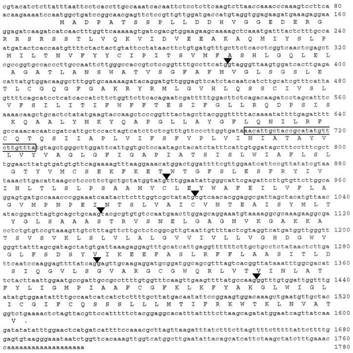 Figure 5.