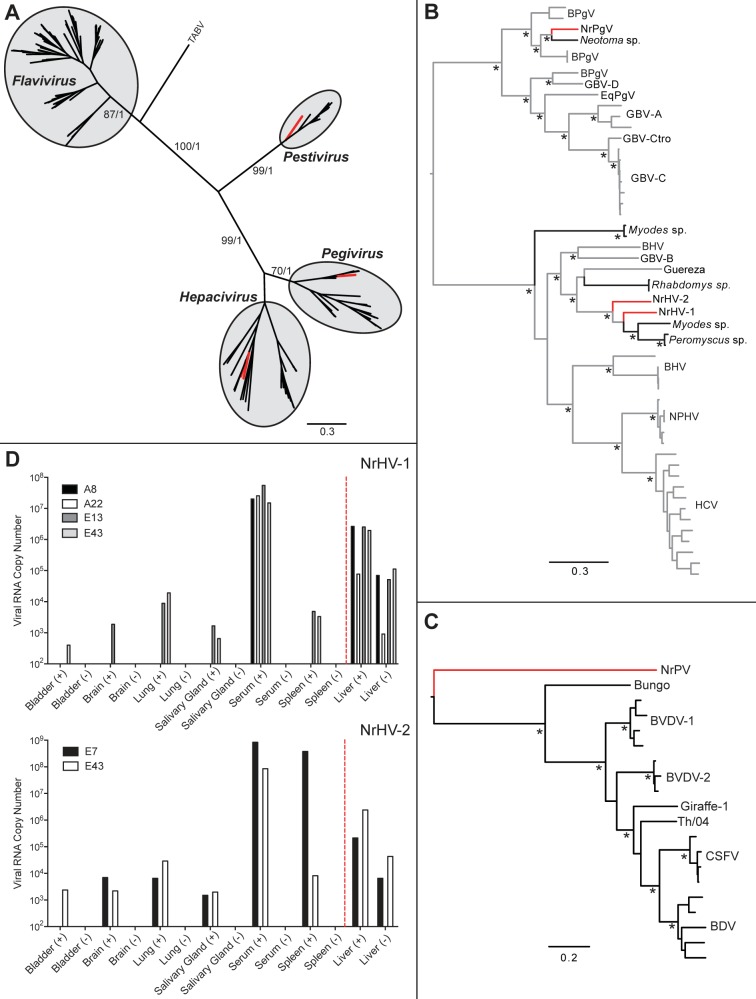 FIG 2 