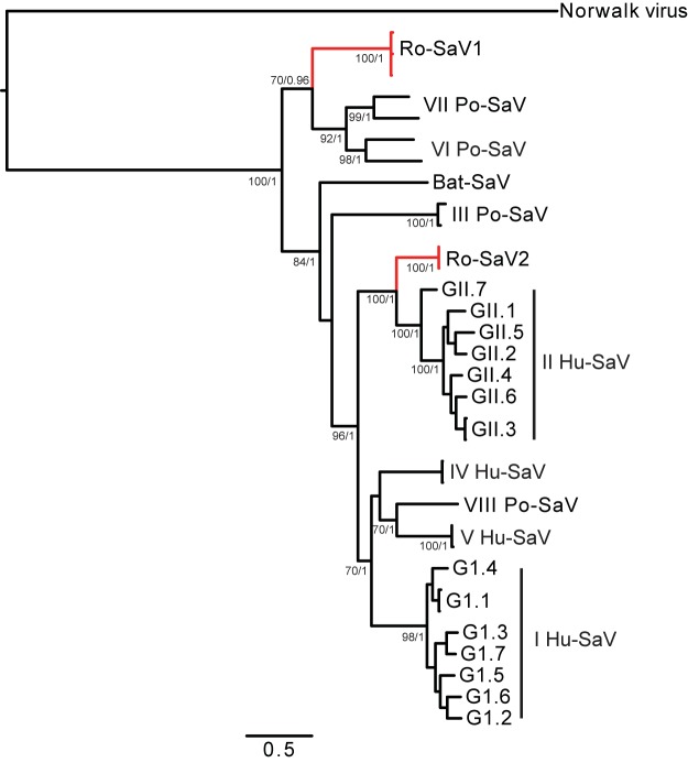 FIG 4 