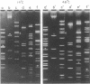 1928
