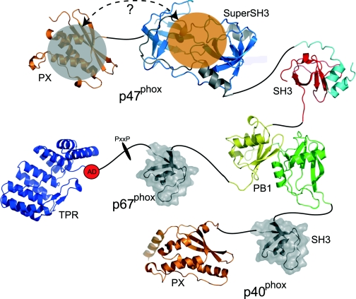 Figure 6