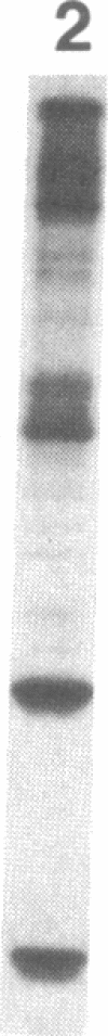 7624