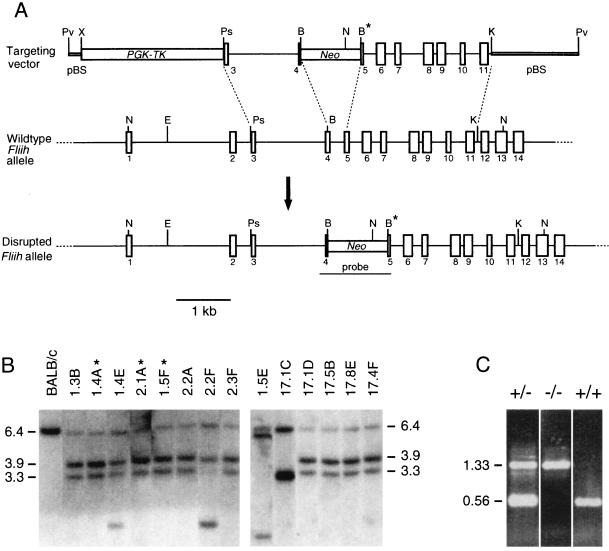 FIG. 1.