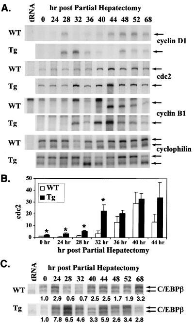 FIG. 6