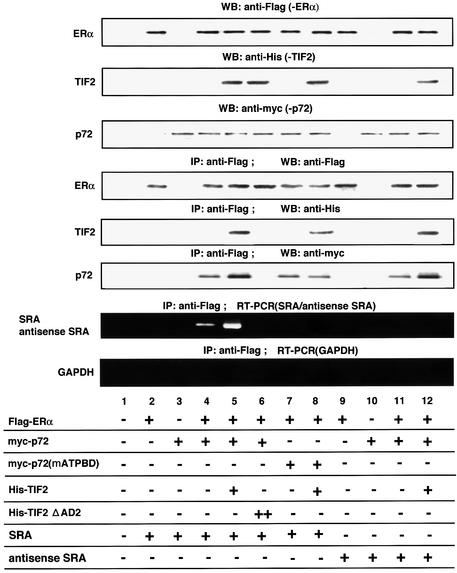 graphic file with name cde128f6.jpg