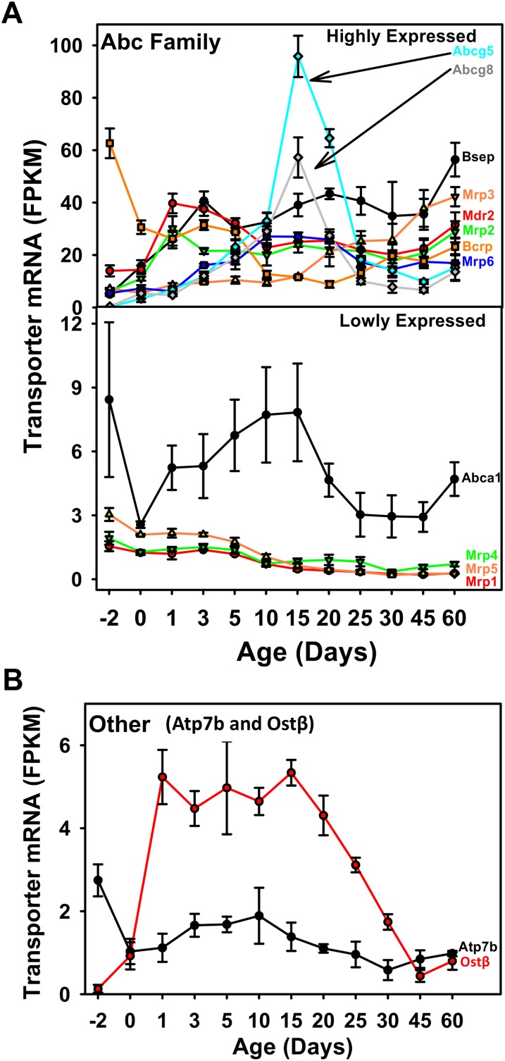 FIG. 4.