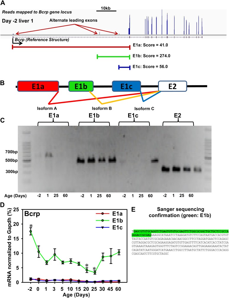 FIG. 6.
