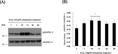 FIG. 8.