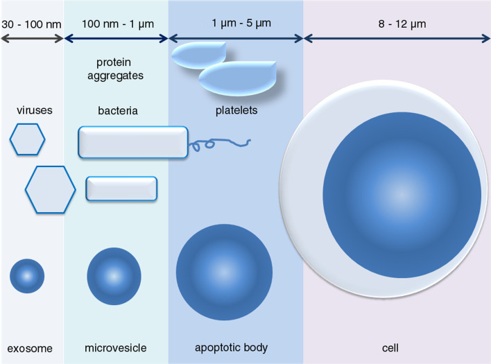 Fig. 3