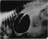 522-2